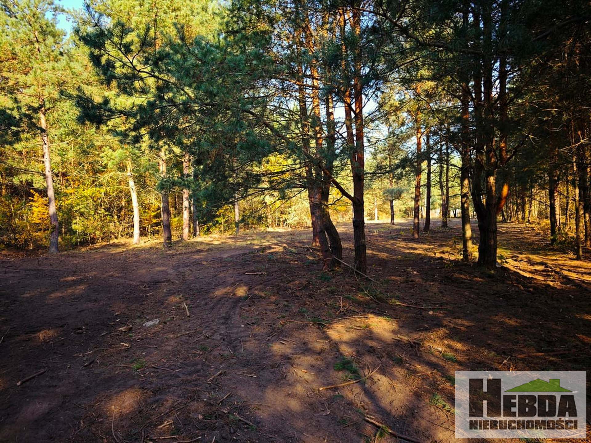 Wierzchosławice!!! Działki budowlane w otoczeniu lasów !!! - zdjęcie 1