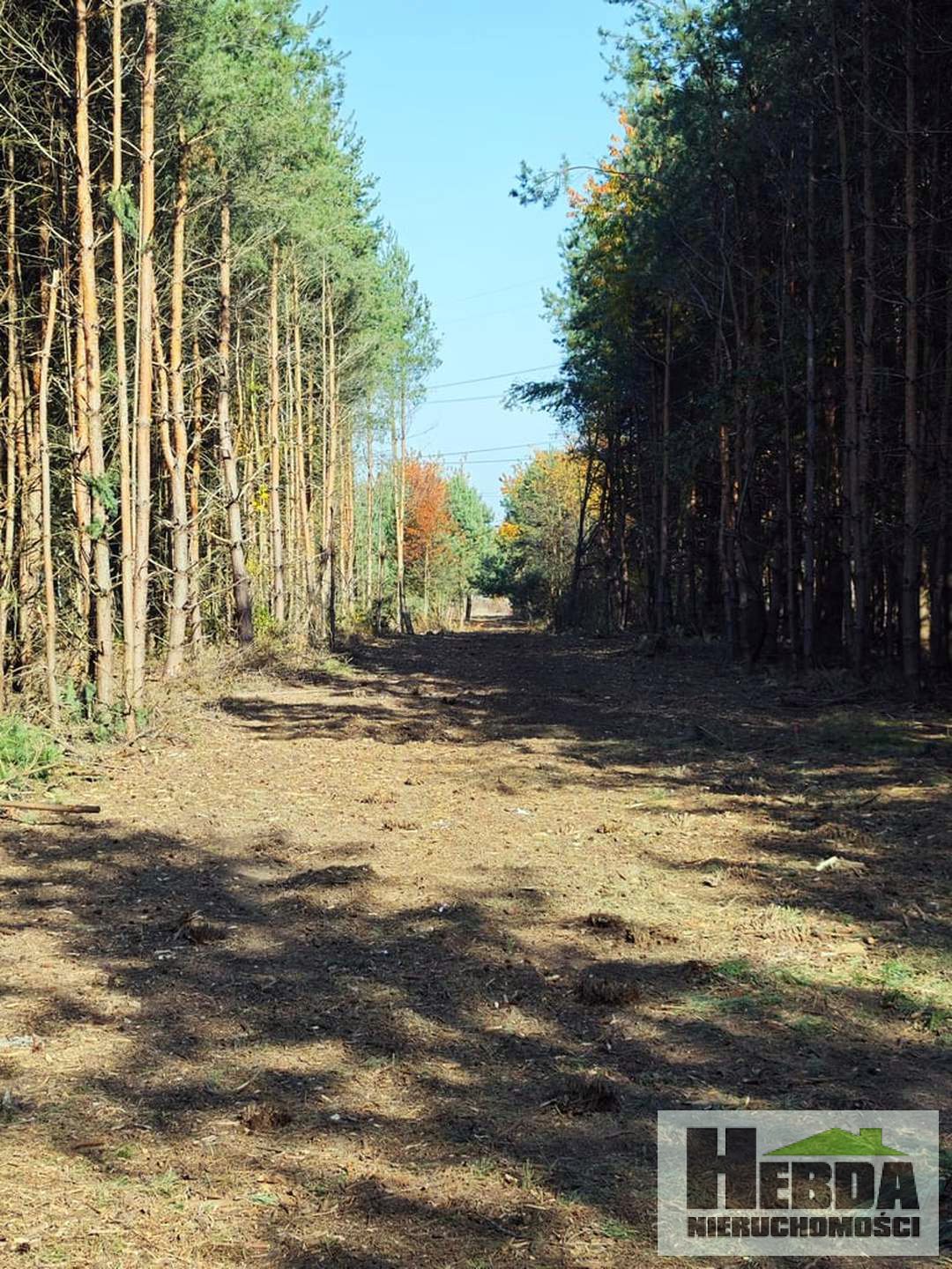 Wierzchosławice!!! Działki budowlane w otoczeniu lasów !!! - zdjęcie 2