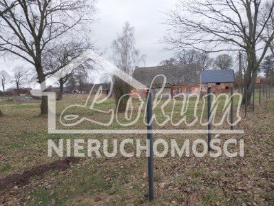 Dom 280&nbsp;m², Dusin - zdjęcie 4