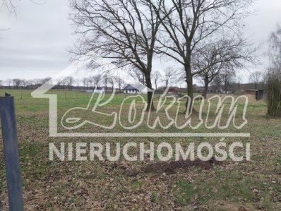 Dom 280&nbsp;m², Dusin - zdjęcie 3