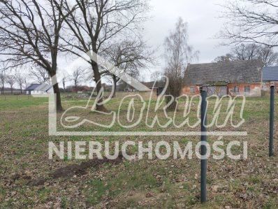 Dom 280&nbsp;m², Dusin - zdjęcie 5