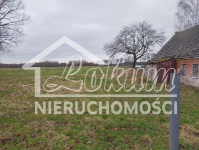 Dom 280&nbsp;m², Dusin - zdjęcie 6