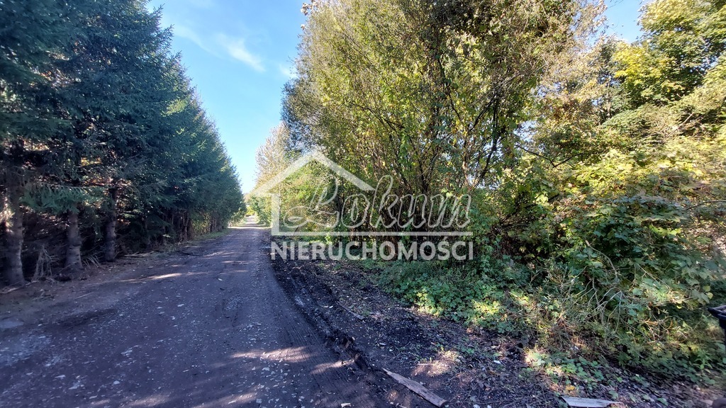 Działka inwestycyjna 1,35&nbsp;ha, Drawno, Kolejowa - zdjęcie 12