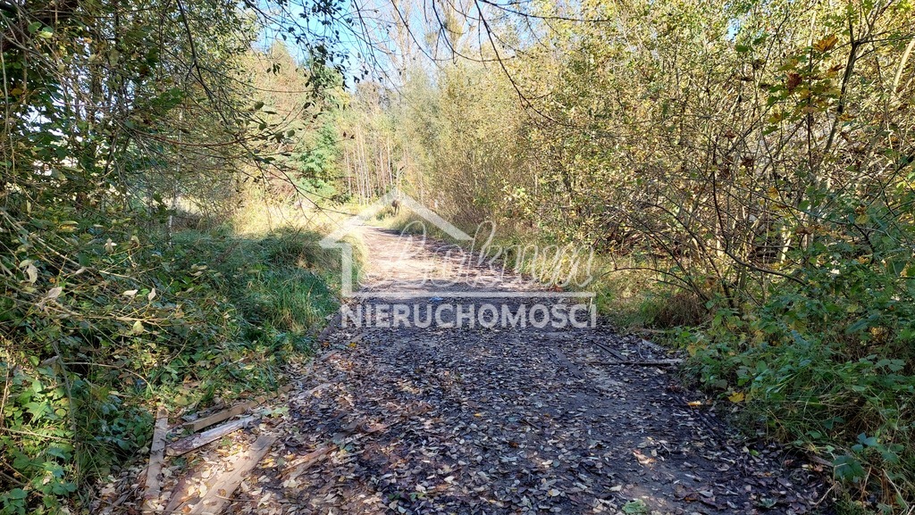 Działka inwestycyjna 1,35&nbsp;ha, Drawno, Kolejowa - zdjęcie 11