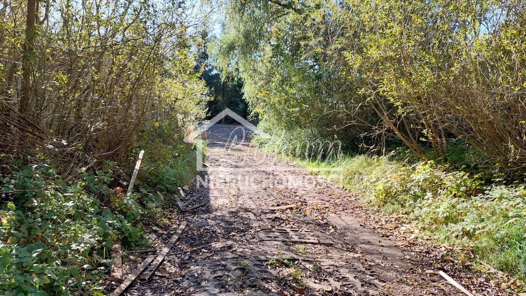 Działka inwestycyjna 1,35&nbsp;ha, Drawno, Kolejowa - zdjęcie 10