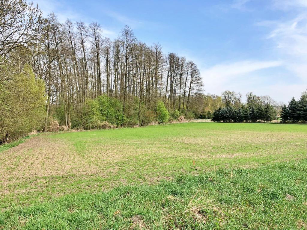 Działka budowlana 3287 m², Raków - zdjęcie 1