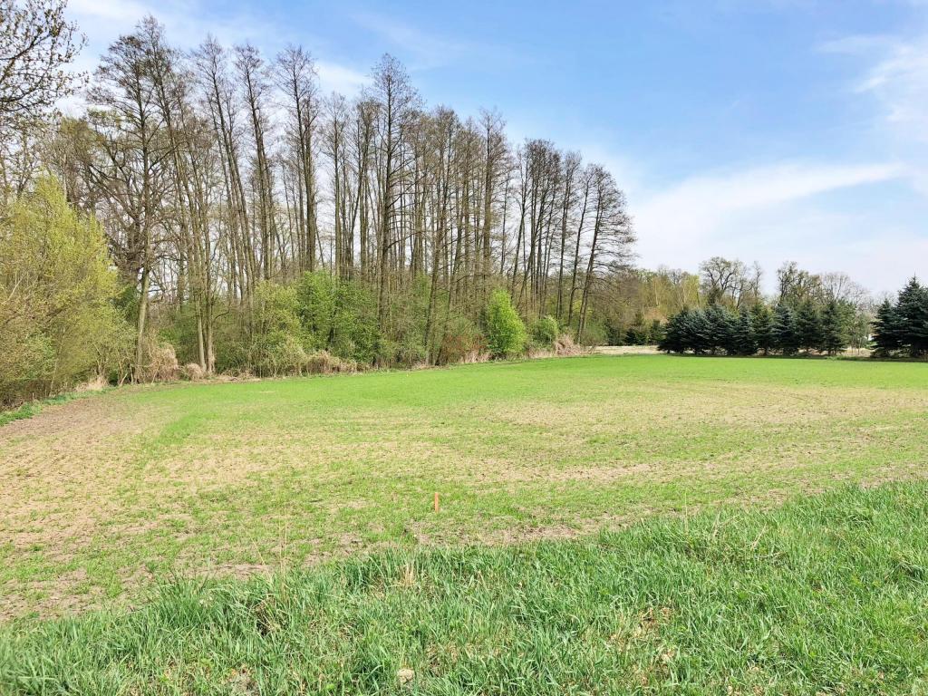 Działka budowlana 3287 m², Raków - zdjęcie 5