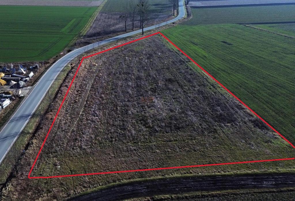 Działka inwestycyjna 6026 m², Święta Katarzyna - zdjęcie 3