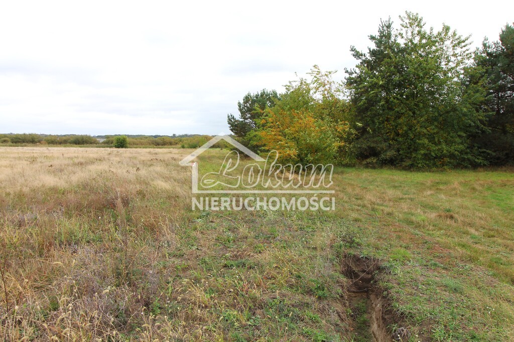 Działka rolna 9720&nbsp;m², Jęczydół - zdjęcie 6