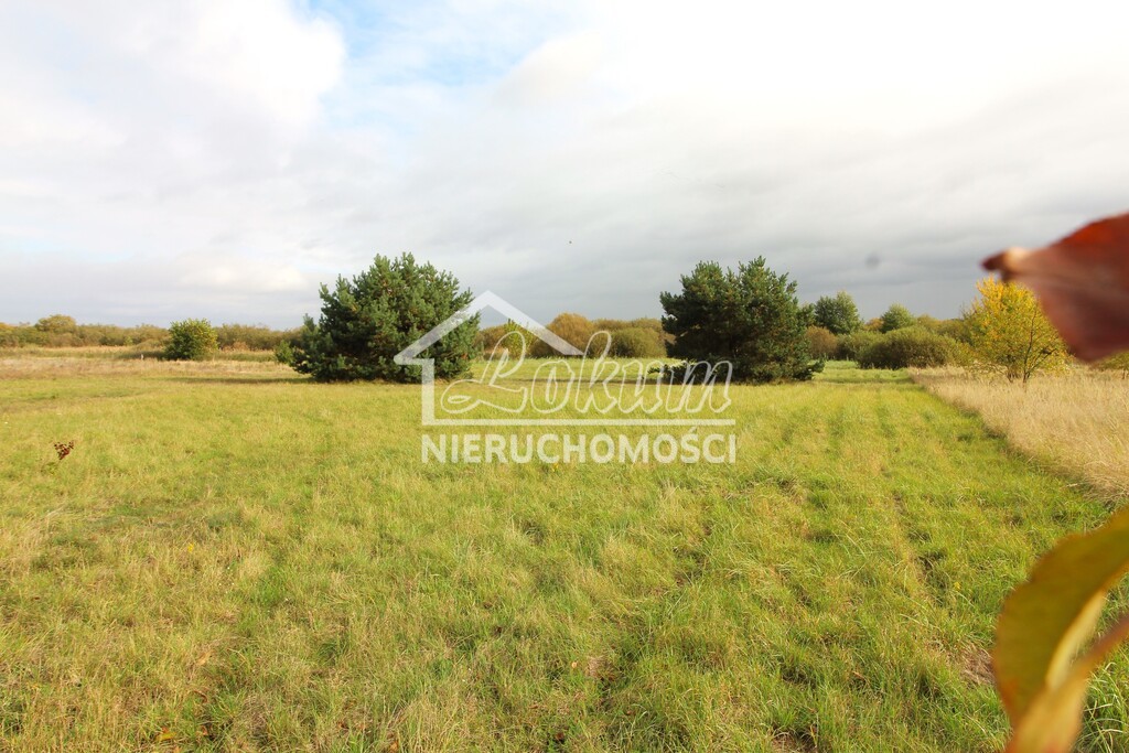 Działka rolna 9720 m², Jęczydół - zdjęcie 5