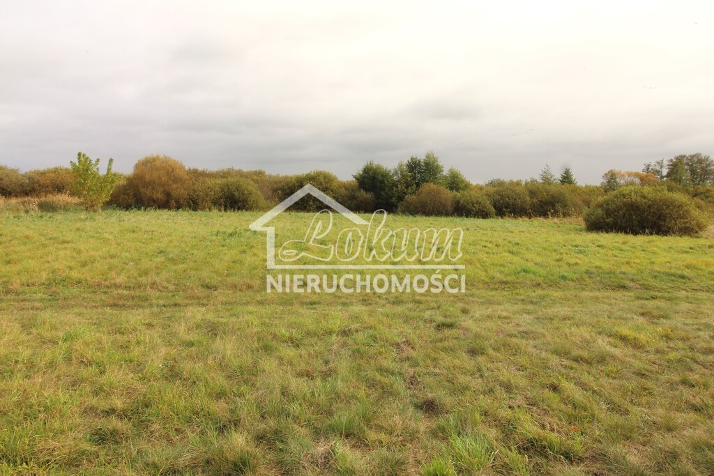 Działka rolna 9720 m², Jęczydół - zdjęcie 1