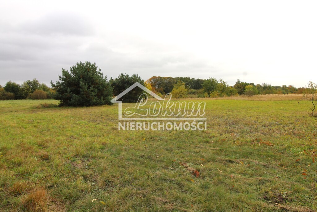 Działka rolna 9720 m², Jęczydół - zdjęcie 2