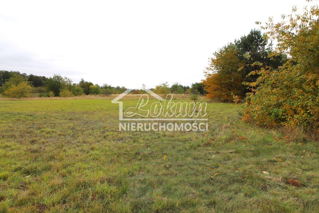 Działka rolna 9720 m², Jęczydół - zdjęcie 3
