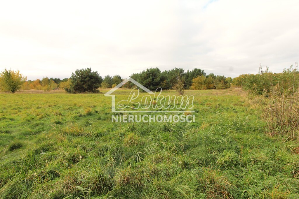 Działka rolna 9720 m², Jęczydół - zdjęcie 4