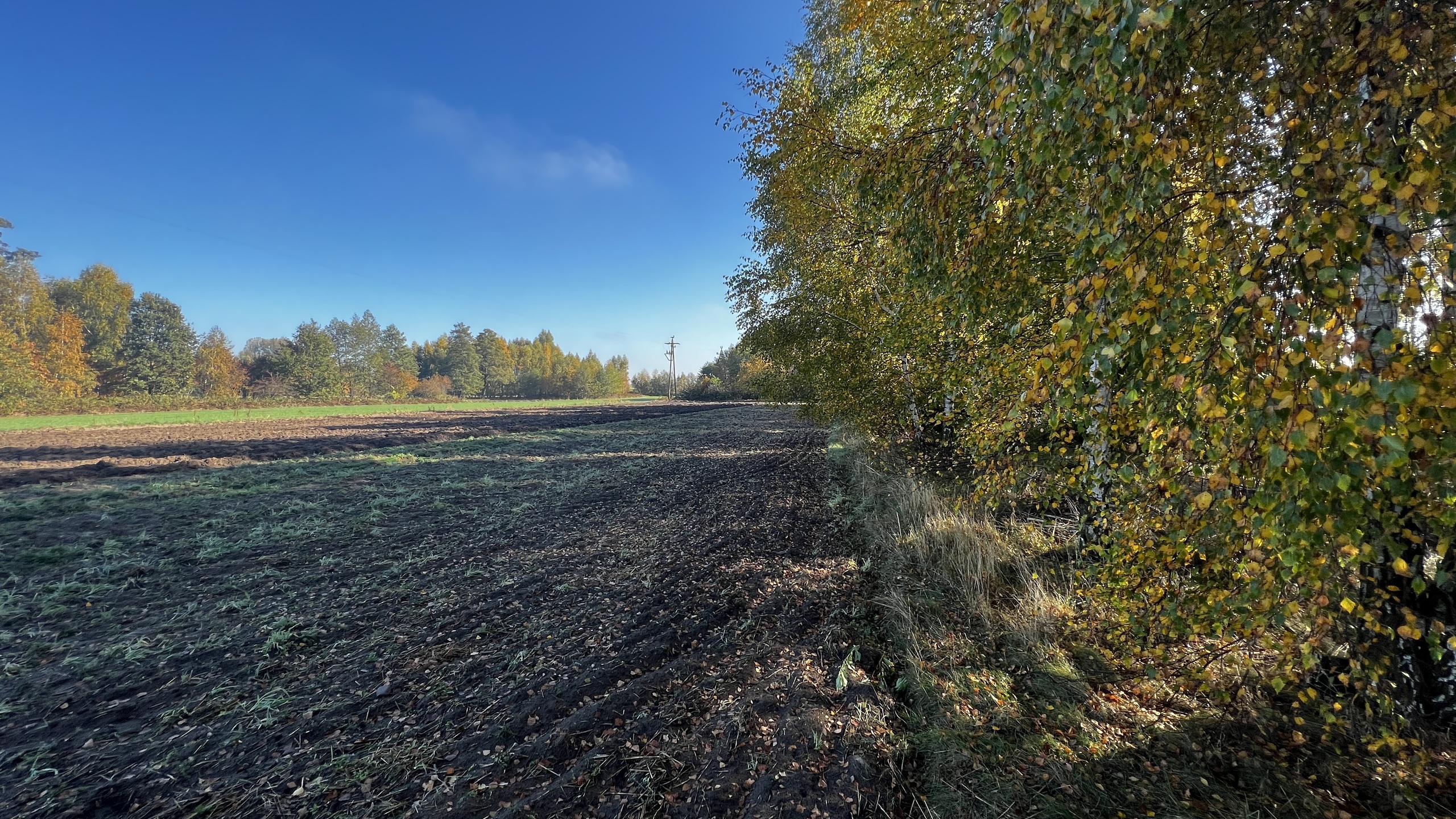 Działka 1,4 ha 4400 m2 pod budownictwo mieszkaniowe - zdjęcie 6