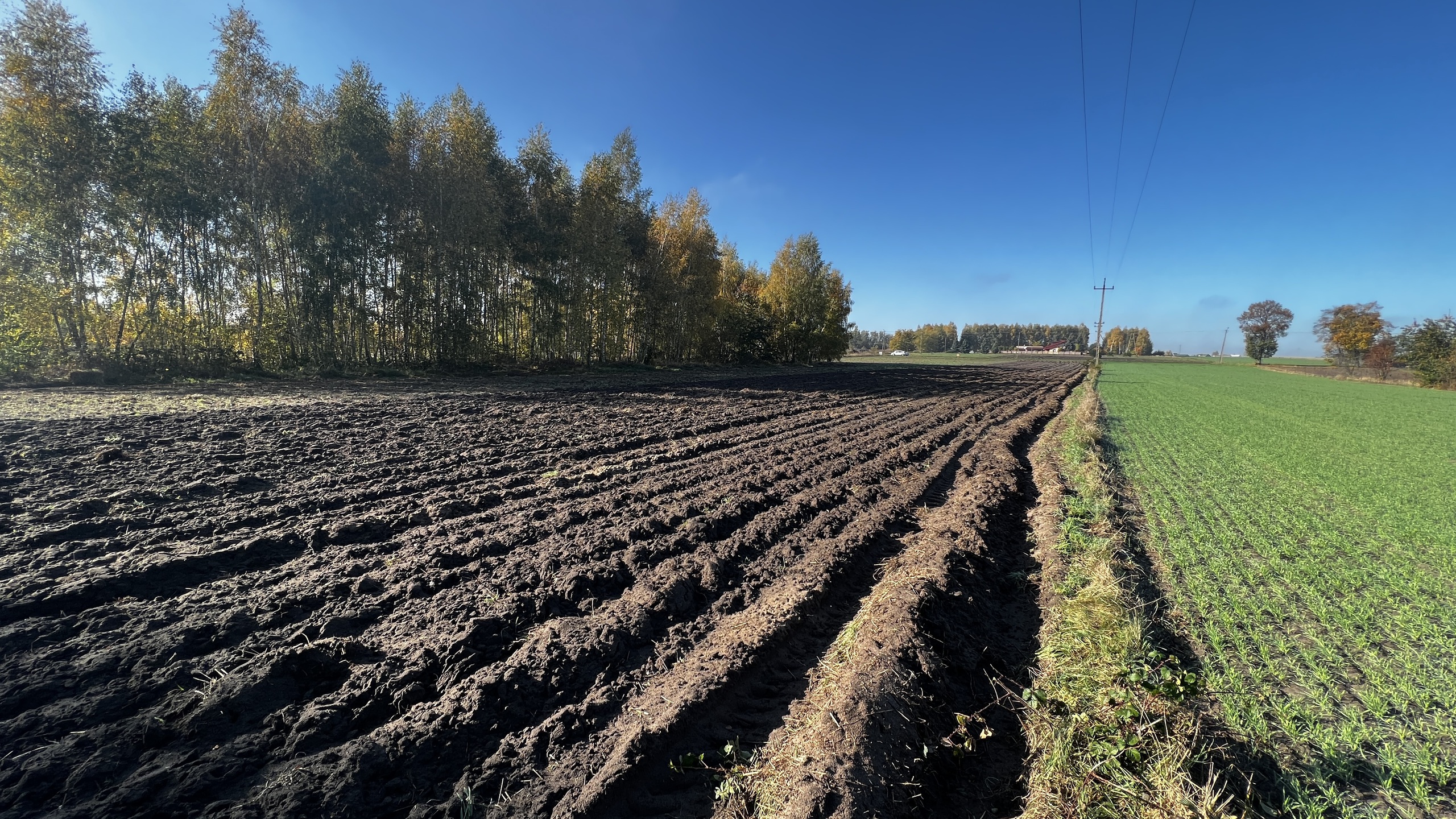 Działka 1,4 ha 4400 m2 pod budownictwo mieszkaniowe - zdjęcie 10