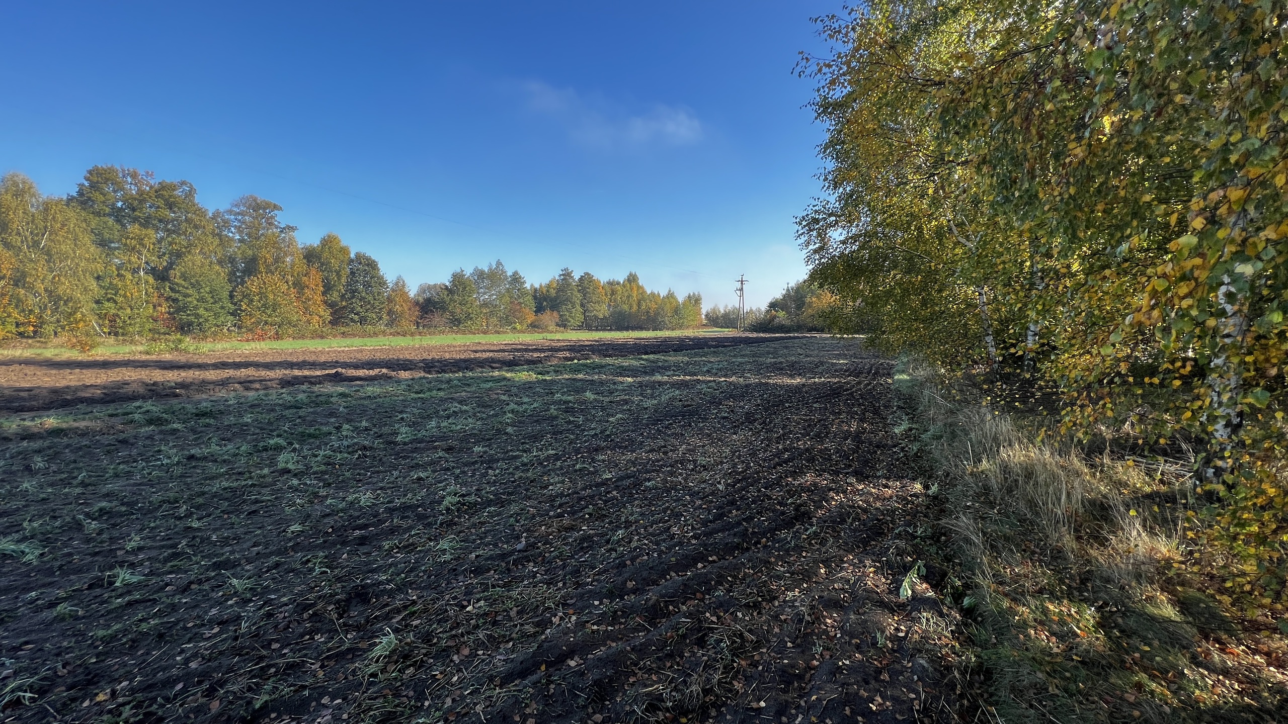 Działka 1,4 ha 4400 m2 pod budownictwo mieszkaniowe - zdjęcie 8
