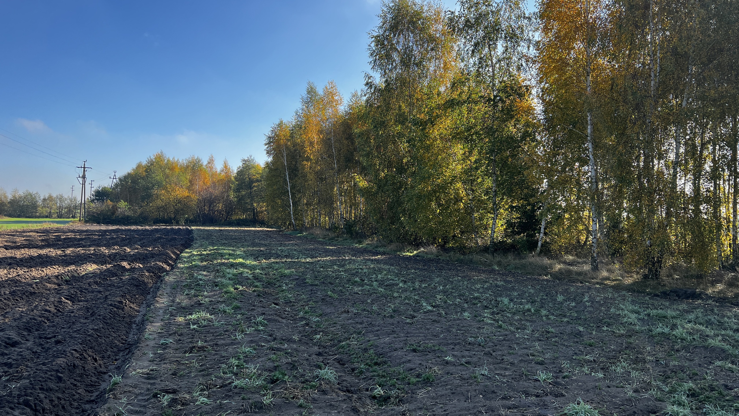 Działka 1,4 ha 4400 m2 pod budownictwo mieszkaniowe - zdjęcie 4