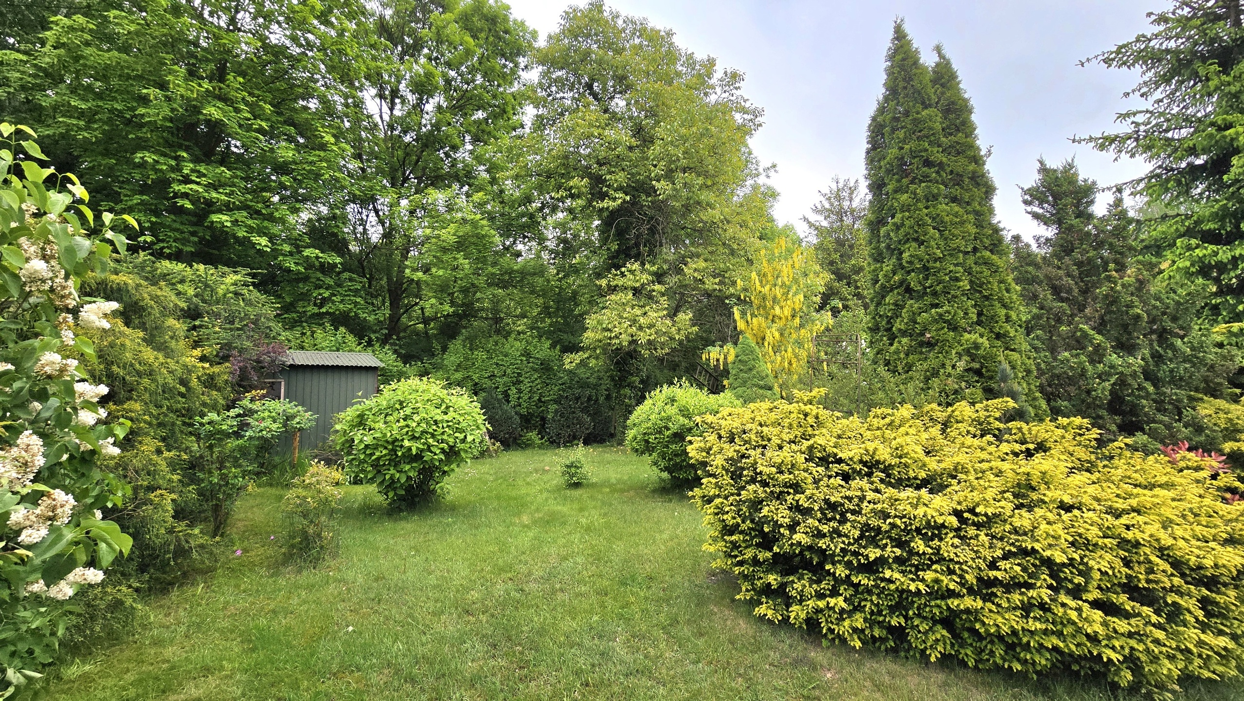 Dom z potencjałem! Przestronny, dwa odrębne lokale, dobry pod działalność gospodarczą, duża działka! - zdjęcie 19