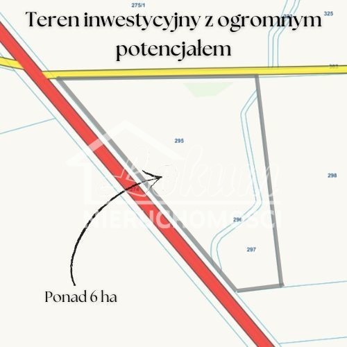 Działka inwestycyjna 4,09&nbsp;ha, Ryszewko - zdjęcie 5