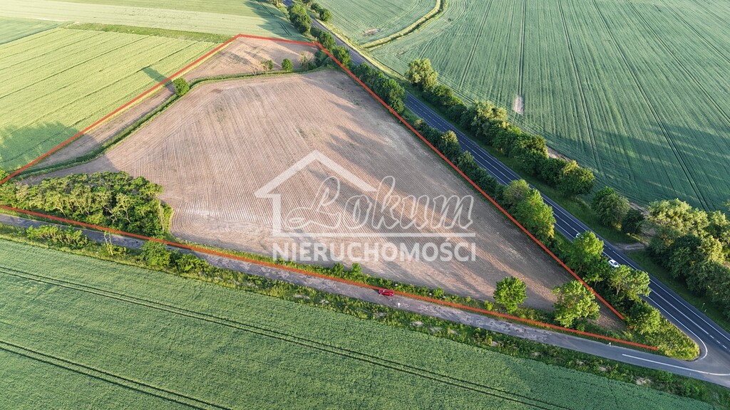 Działka inwestycyjna 4,09&nbsp;ha, Ryszewko - zdjęcie 1