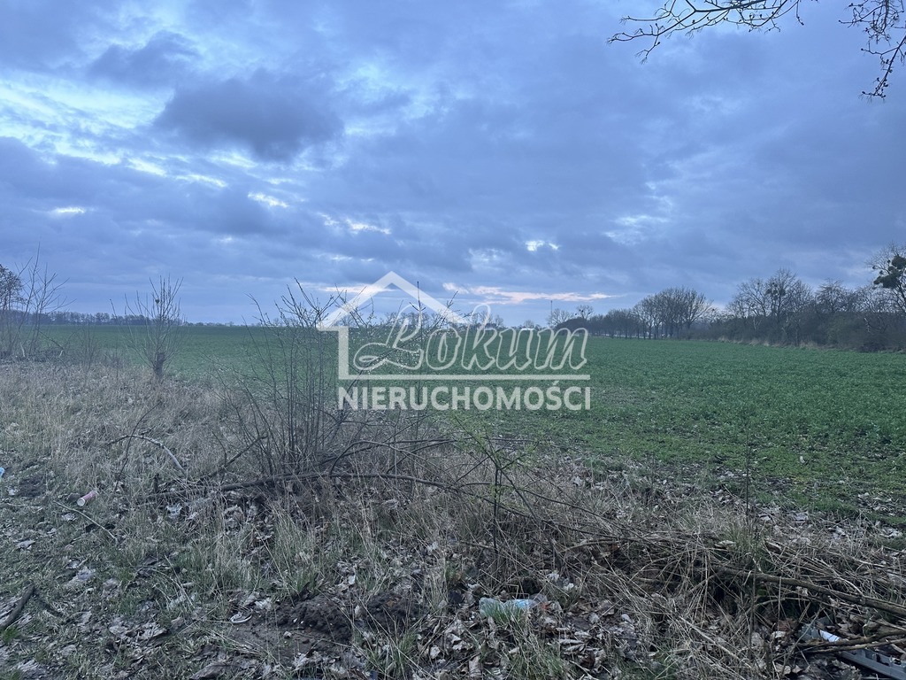 Działka inwestycyjna 4,09&nbsp;ha, Ryszewko - zdjęcie 7