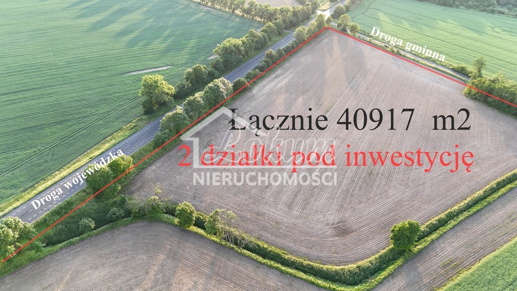 Działka inwestycyjna 4,09&nbsp;ha, Ryszewko - zdjęcie 4