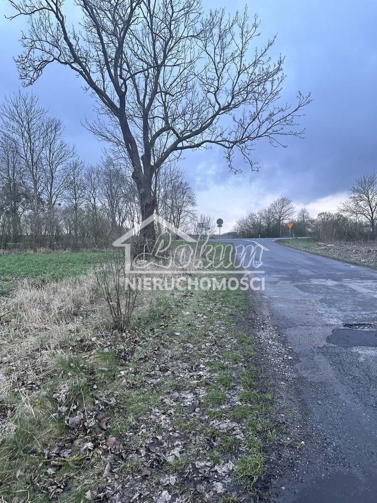 Działka inwestycyjna 4,09&nbsp;ha, Ryszewko - zdjęcie 6