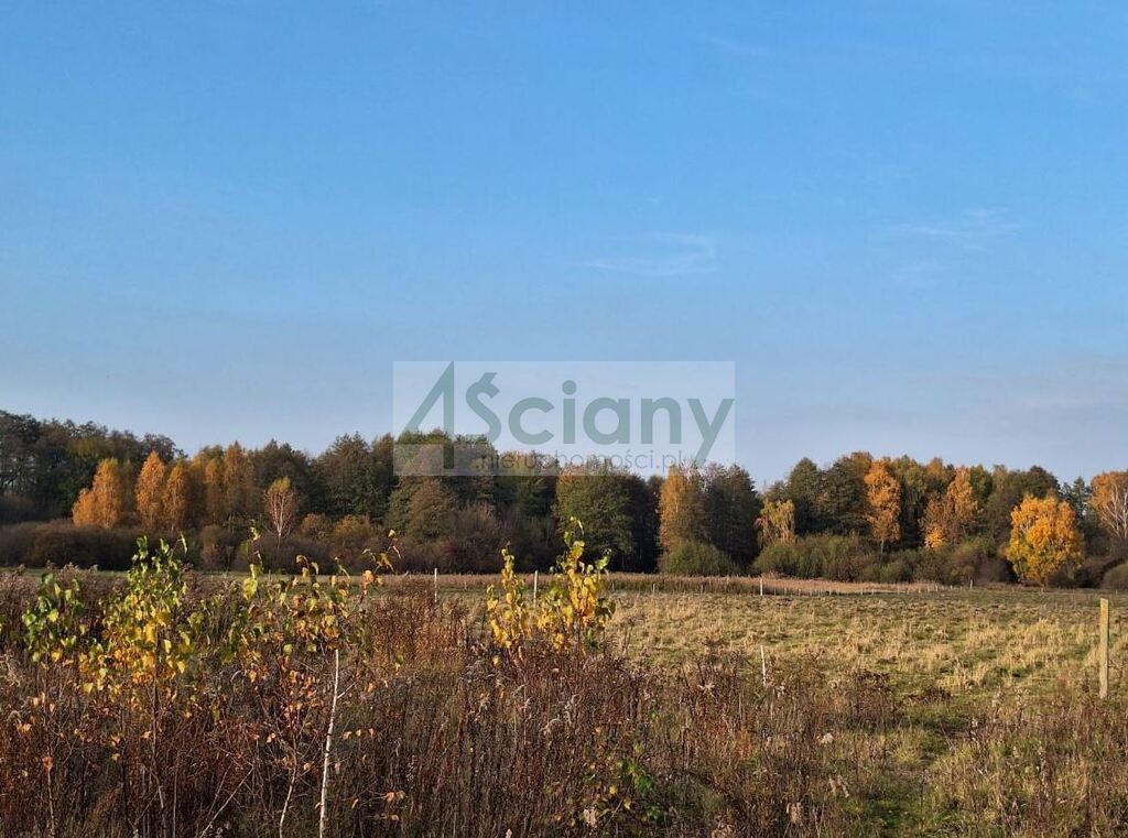 Działka budowlana 2024&nbsp;m², Ojrzanów - zdjęcie 1