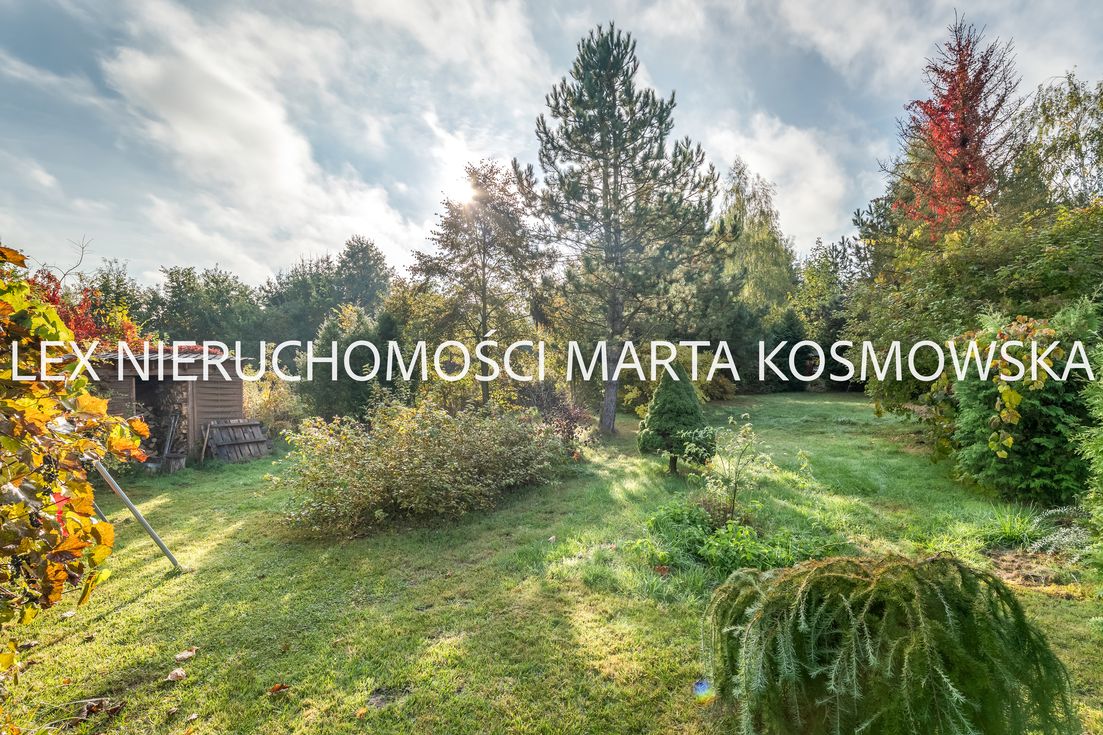 Szymanów, gm. Góra Kalwaria ,16600 m - zdjęcie 18