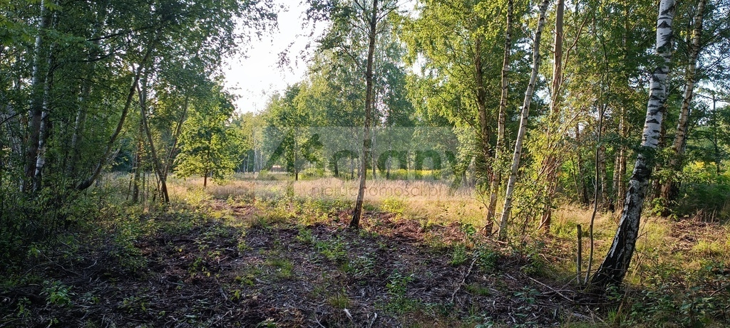 Działka budowlana 8294&nbsp;m², Czarny Las - zdjęcie 3
