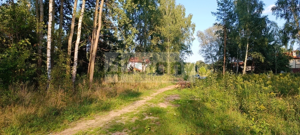 Działka budowlana 8294&nbsp;m², Czarny Las - zdjęcie 7