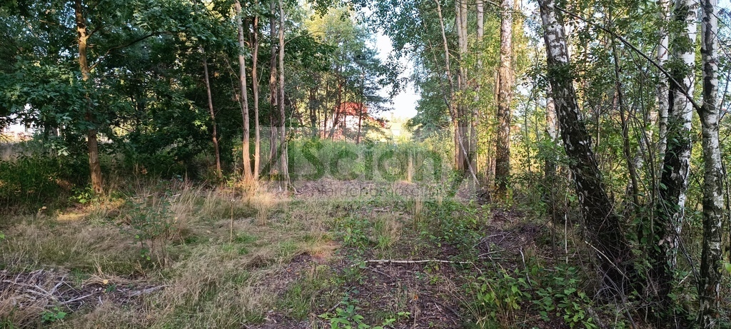 Działka budowlana 8294&nbsp;m², Czarny Las - zdjęcie 4