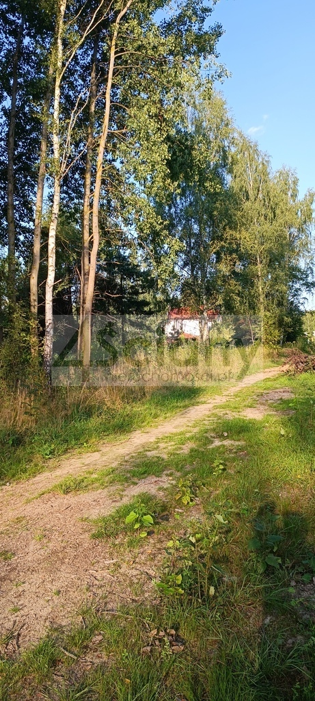 Działka budowlana 8294&nbsp;m², Czarny Las - zdjęcie 5