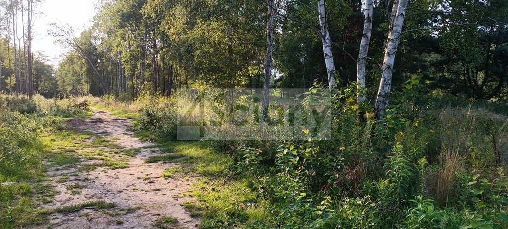 Działka budowlana 8294&nbsp;m², Czarny Las - zdjęcie 1