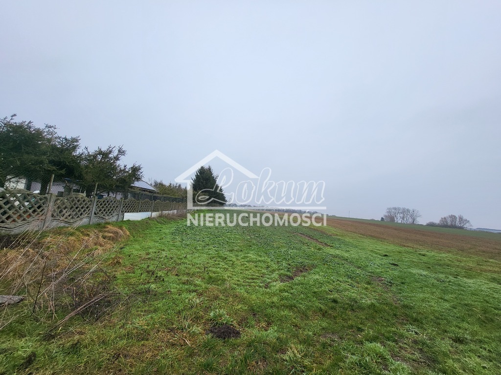 Działka rolna 3000&nbsp;m², Warzymice - zdjęcie 2
