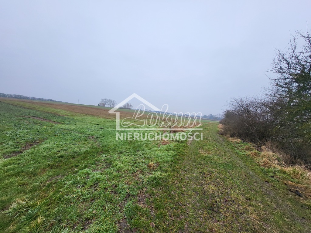 Działka rolna 3000&nbsp;m², Warzymice - zdjęcie 4