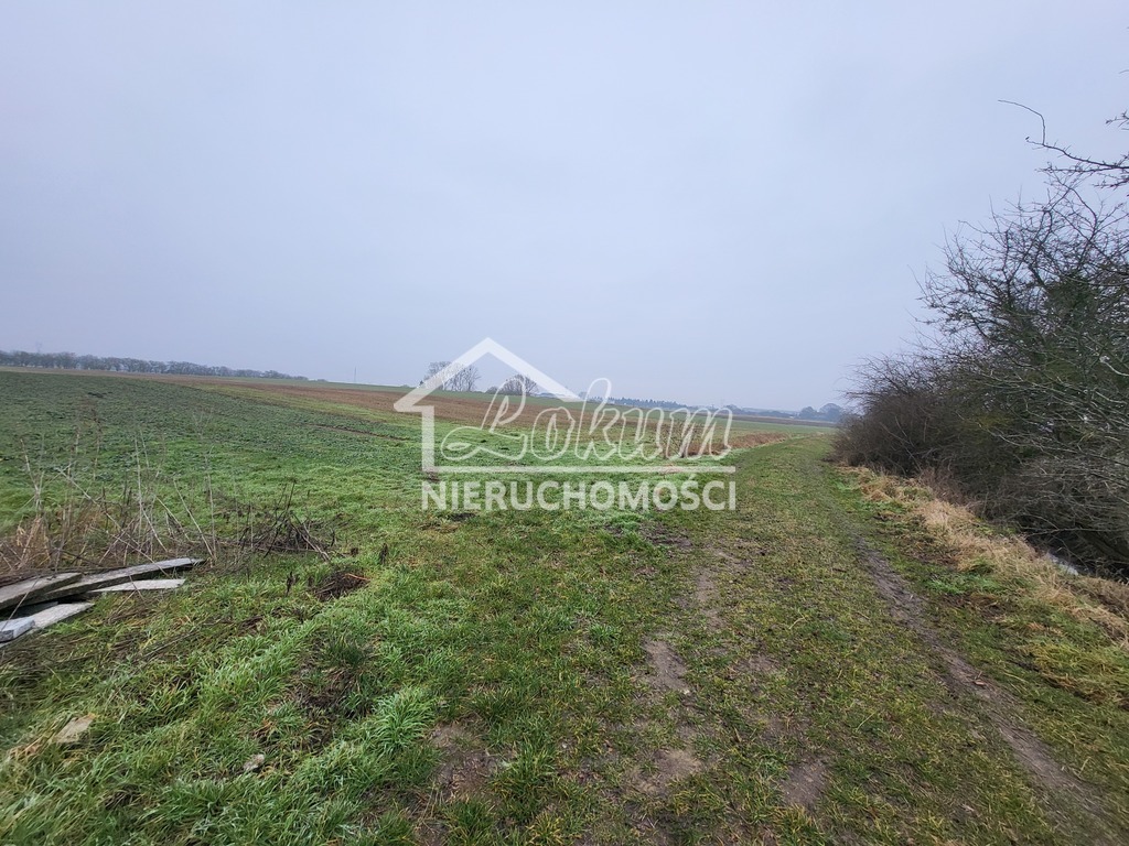 Działka rolna 3000&nbsp;m², Warzymice - zdjęcie 1