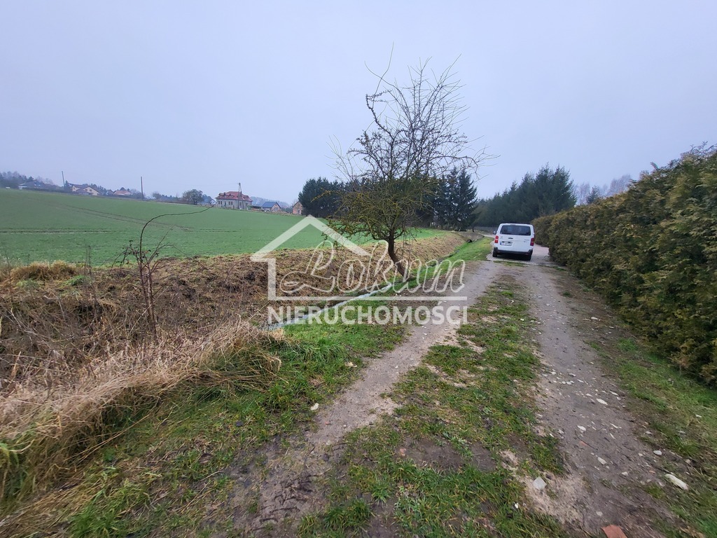 Działka rolna 3000&nbsp;m², Warzymice - zdjęcie 5
