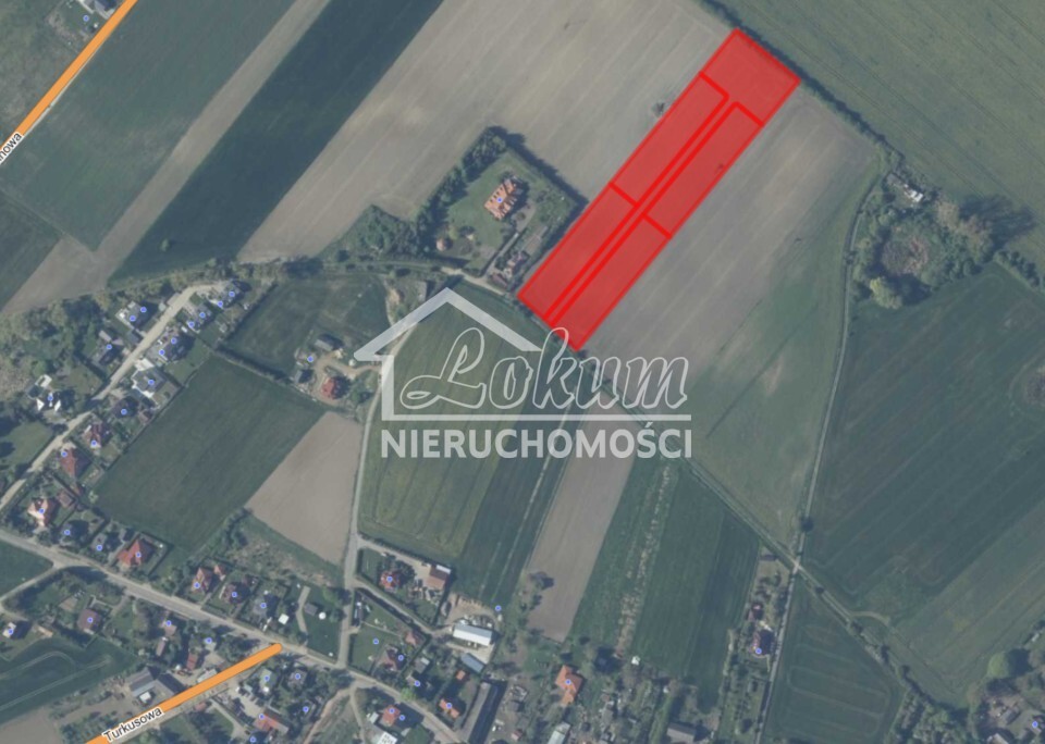 Działka rolna 3000&nbsp;m², Warzymice - zdjęcie 6
