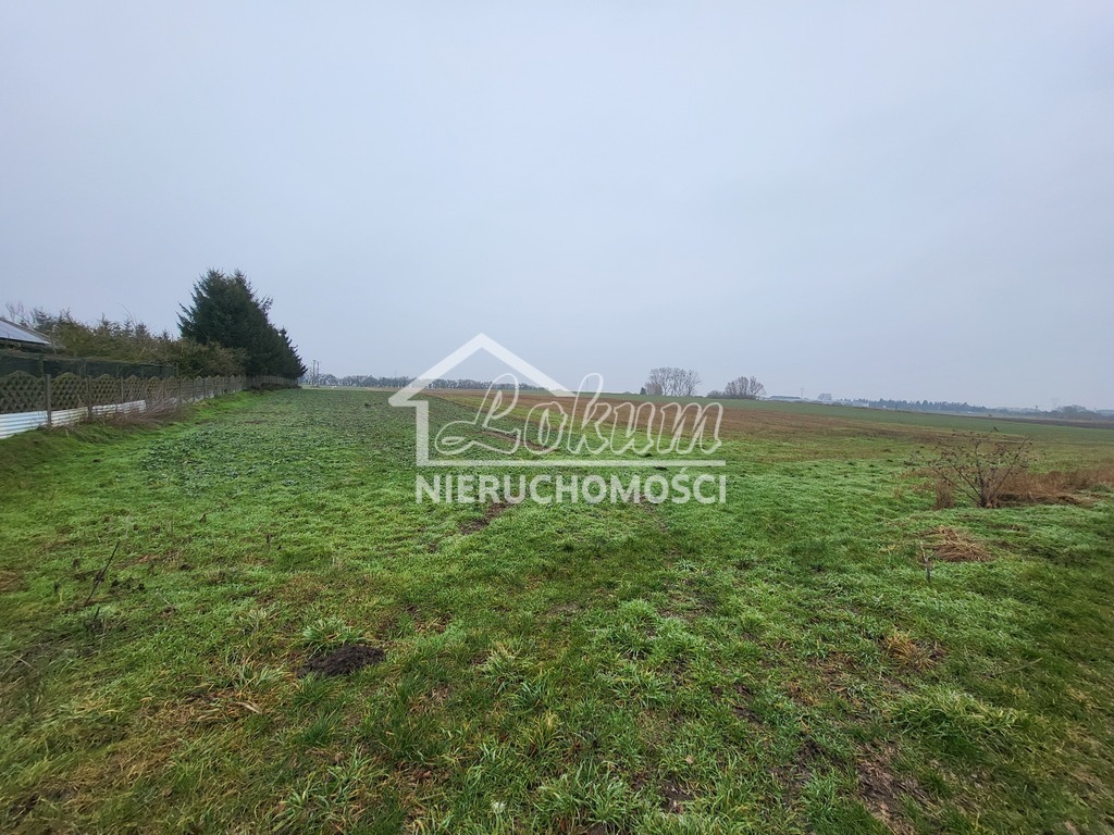 Działka rolna 3000&nbsp;m², Warzymice - zdjęcie 3