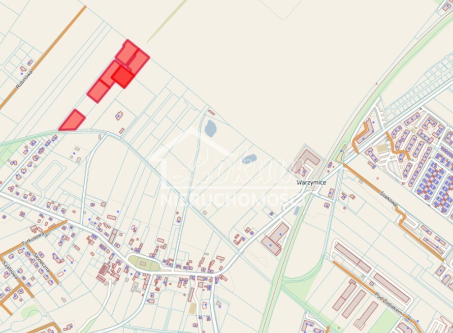 Działka rolna 3000 m², Warzymice - zdjęcie 5