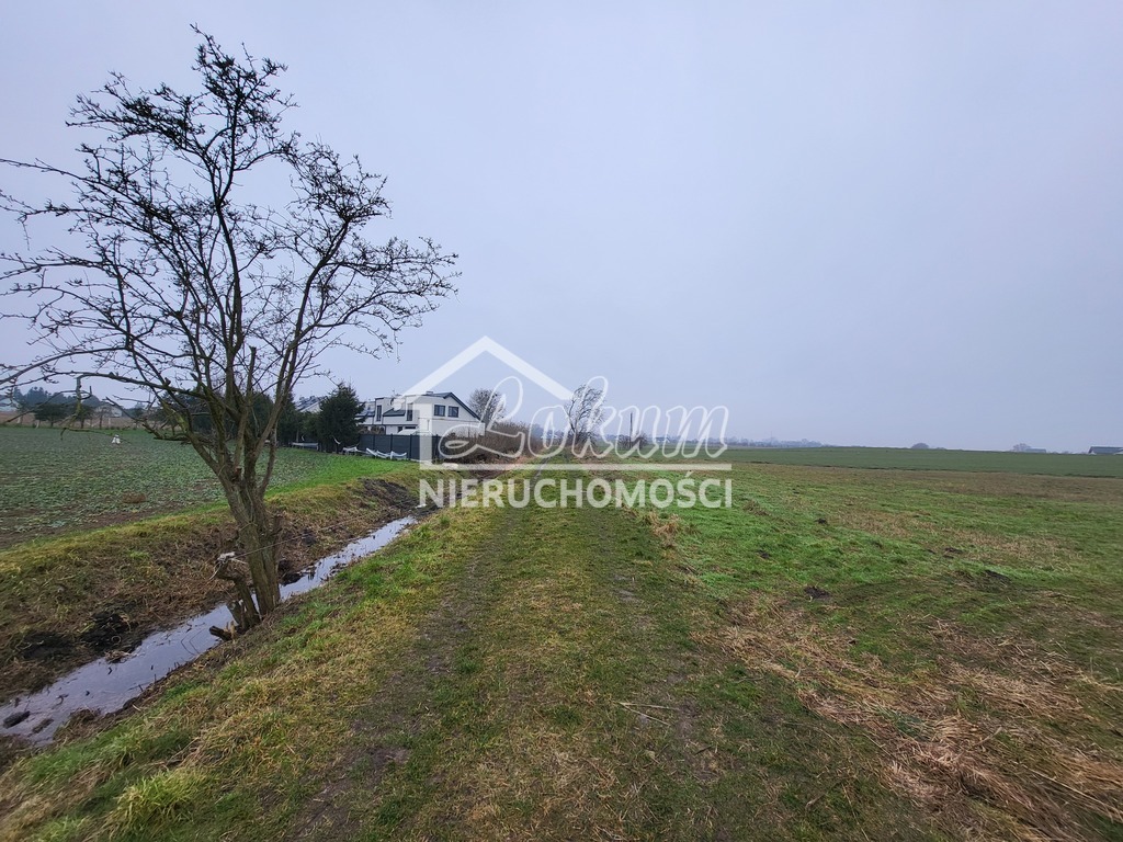 Działka rolna 3000 m², Warzymice - zdjęcie 1