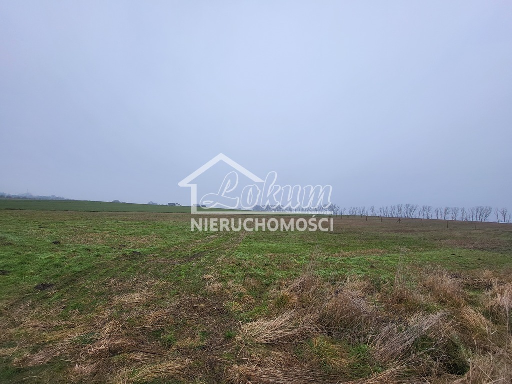 Działka rolna 3000 m², Warzymice - zdjęcie 3