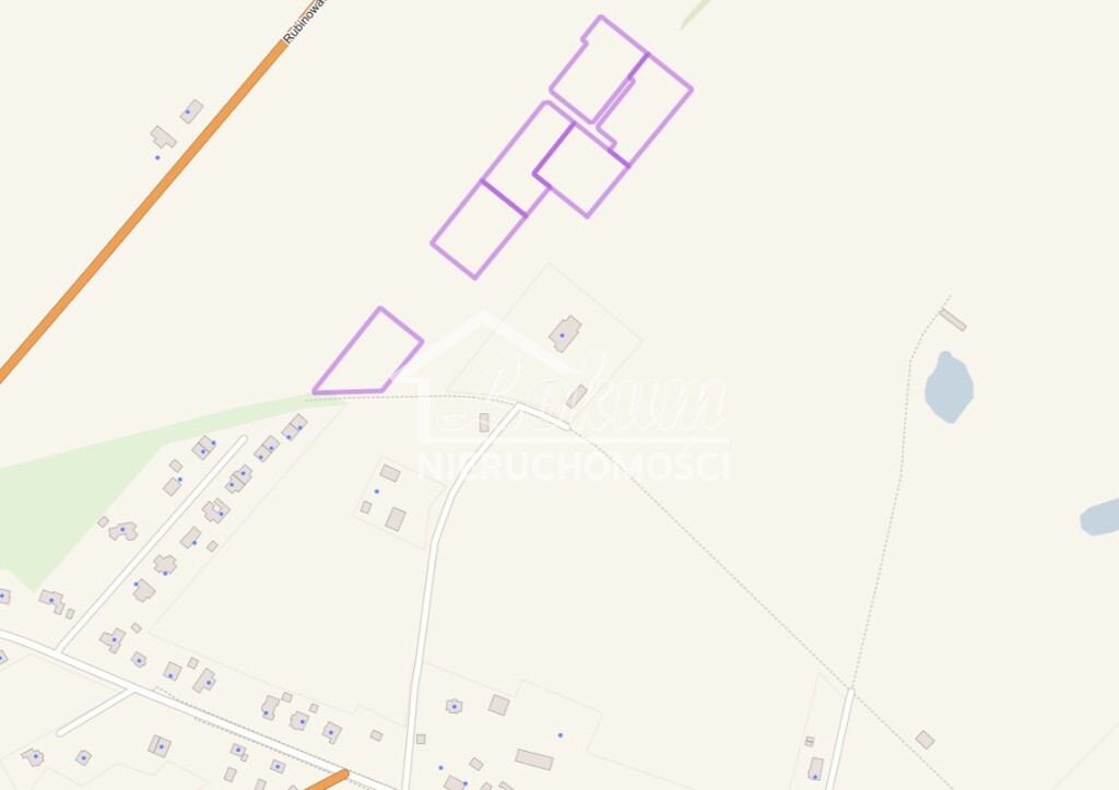 Działka rolna 3000 m², Warzymice - zdjęcie 4