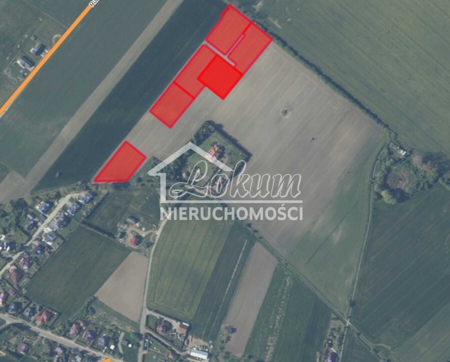 Działka rolna 3000 m², Warzymice - zdjęcie 6