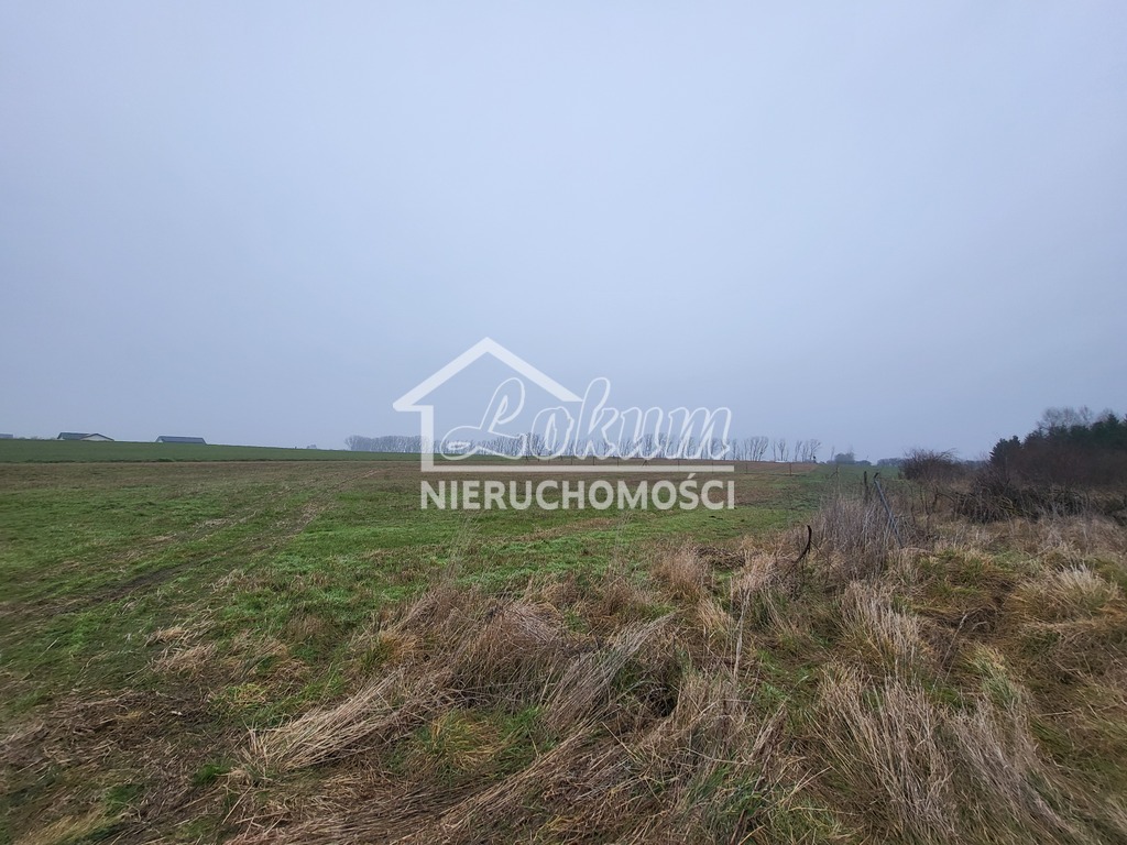 Działka rolna 3000 m², Warzymice - zdjęcie 2