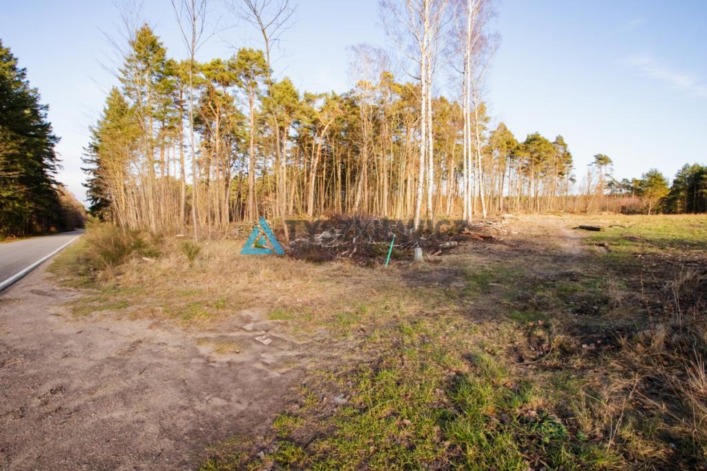 Malownicza działka blisko Białogóry - zdjęcie 10
