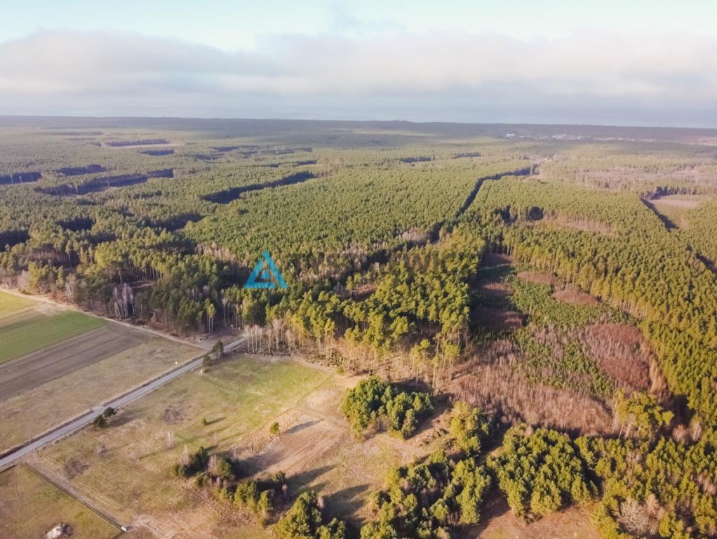 Malownicza działka blisko Białogóry - zdjęcie 15