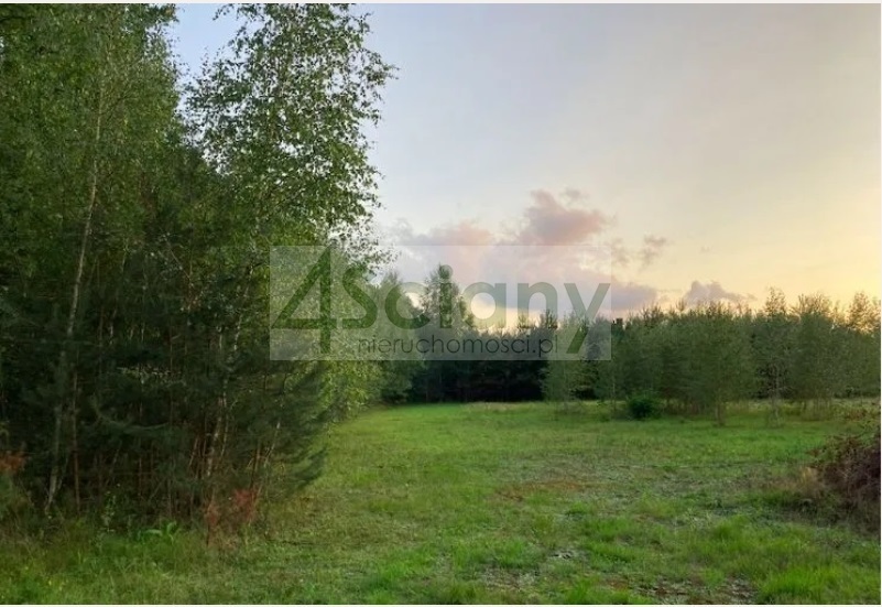 Działka budowlana 2991&nbsp;m², Siestrzeń - zdjęcie 1